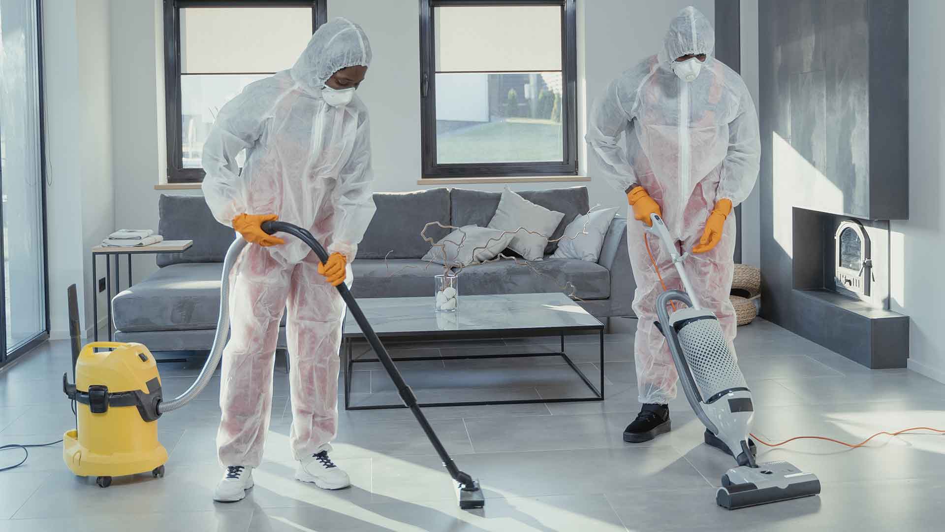 Trusted pest control services in Jaipur